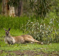 The Stirling Golf Club - Stayed