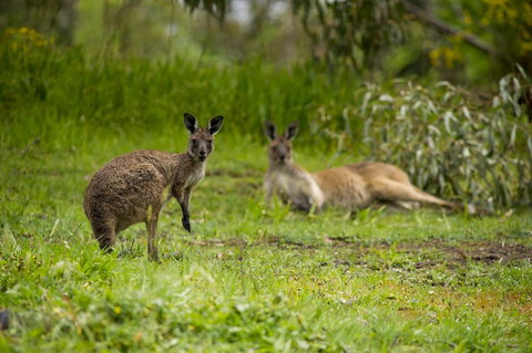The Stirling Golf Club - Stays Accommodation 2