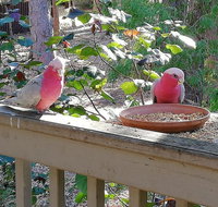 The Treehouse In Dawesville - Stays Accommodation