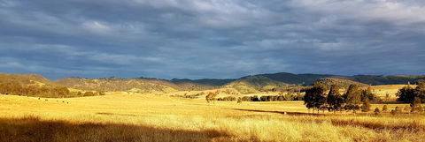 The Wattle Lodge - Stays Accommodation 1