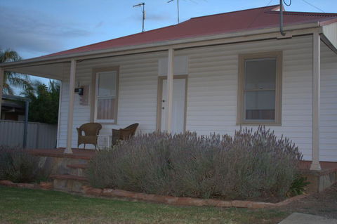 The Yellow Daisy - Stayed 1