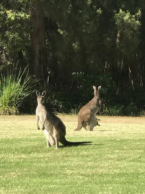 Tinglewood Cabins - Stays Accommodation 2