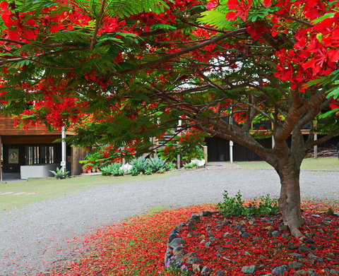 TRANQUILO BEACH HOUSE - Stayed 2