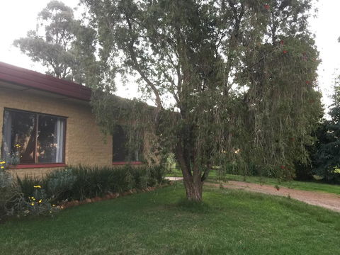 Tree Of Love Farm Stay - Stayed 1