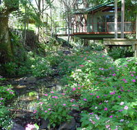 Treetops Montville - Stayed