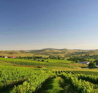 Turners Vineyard Motel - Stayed