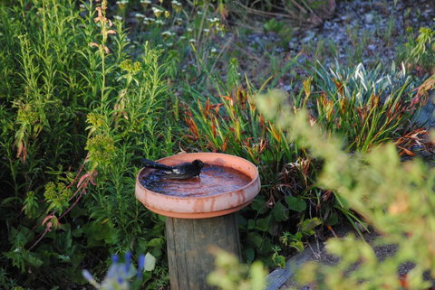 Tweed Valley Lodge - Stayed 2