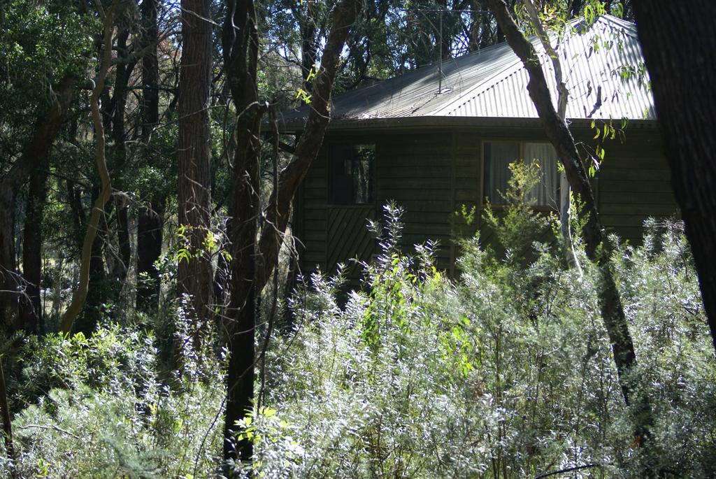 Fitzroy Falls NSW Stays Accommodation