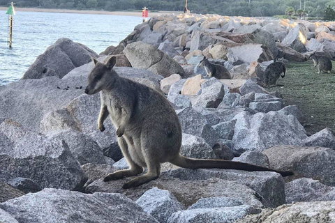 Unit 3202 One Bright Point - Stays Accommodation 2