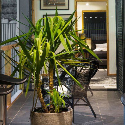 Val D'Argent Equestrian Centre - Stayed 2