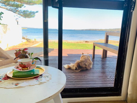 Vandy's Shack At Mount Dutton Bay - Ideal For Couples And Small Families - Stayed 3