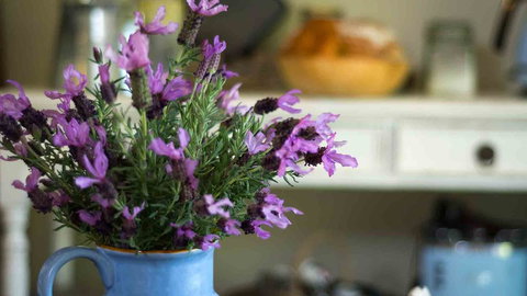 Vicarage View Cottage - Stays Accommodation 2