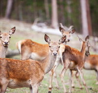 Villa Cervi Property