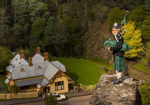 Walhalla Wild Cherry - Stayed 2