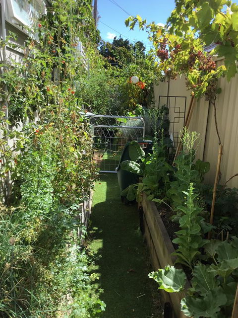 Redruth Cottage - Stayed 7
