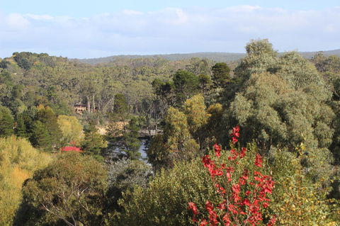 The Orchard - Stays Accommodation 28