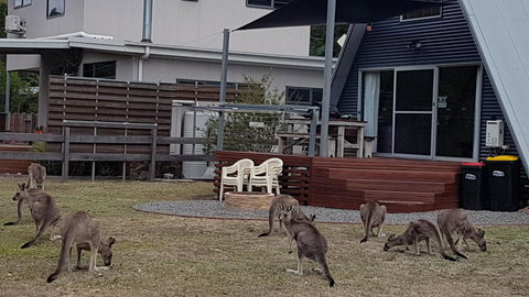 The A-Frame - Stayed 3