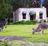 Marwood Luxury Villas - Stayed