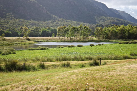 Gumnut Villa - Stays Accommodation 11