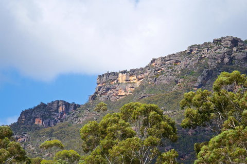 Gumnut Villa - Stays Accommodation 15