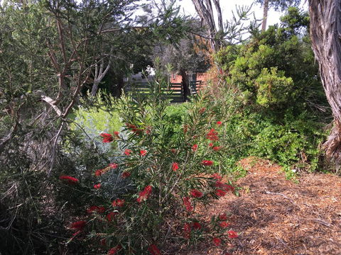 Andrew's On Topaz - Stays Accommodation 1