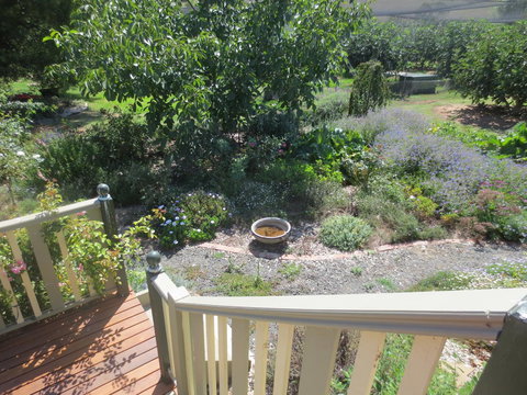Walnut Cottage Via Leongatha - Stayed 6