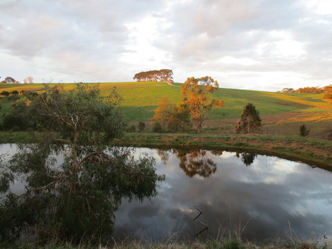 Walnut Cottage Via Leongatha - Stayed 10