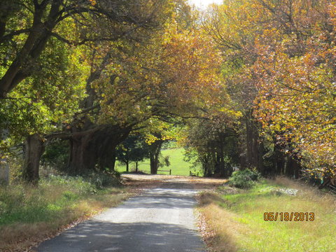 Walnut Cottage Via Leongatha - Stayed 11