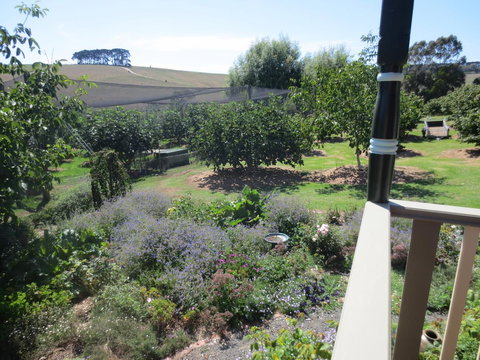 Walnut Cottage Via Leongatha - Stayed 9