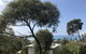 Lorne Sea View Terrace House - thumb 26