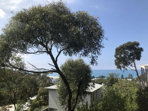 Lorne Sea View Terrace House - Stayed 26