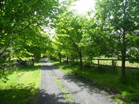 Book Wonga Park Accommodation Vacations Stays Accommodation Stays Accommodation