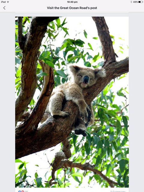 Austral Place 88 Via Merri River - Stayed 24