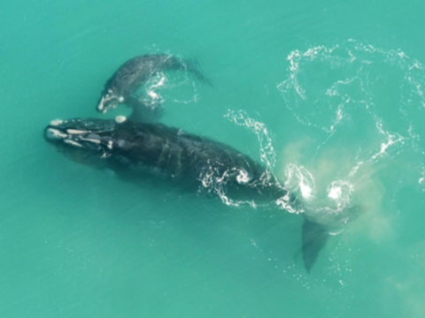 Austral Place 88 Via Merri River - Stayed 23