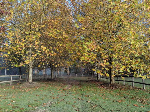 Kangaroo Manor - Stayed 11