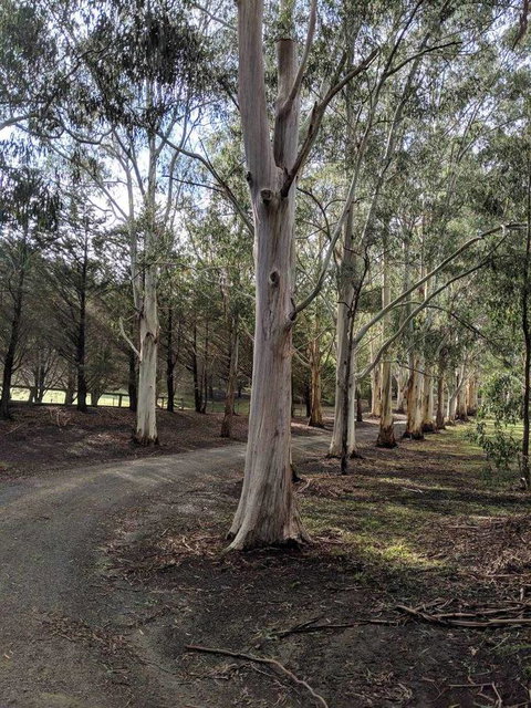 Kangaroo Manor - Stayed 10