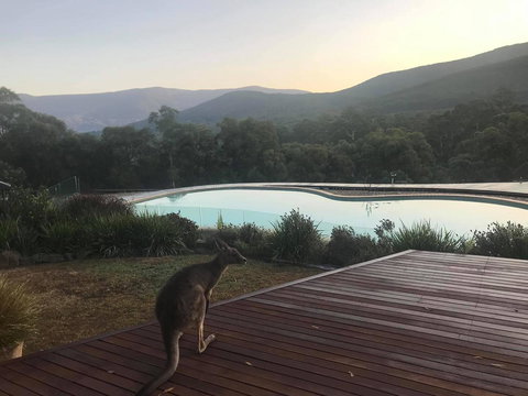 Kangaroo Manor - Stayed 8