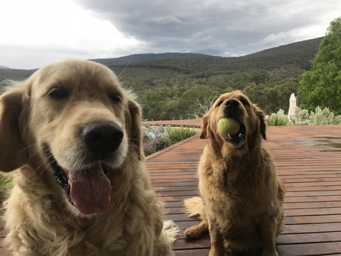 Kangaroo Manor - Stayed 3