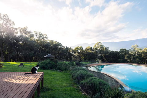 Kangaroo Manor - Stayed 23