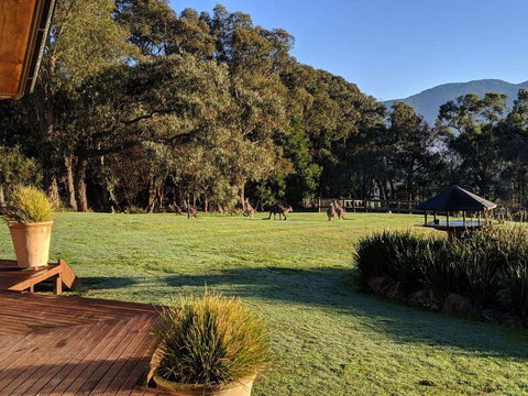 Kangaroo Manor - Stayed 5