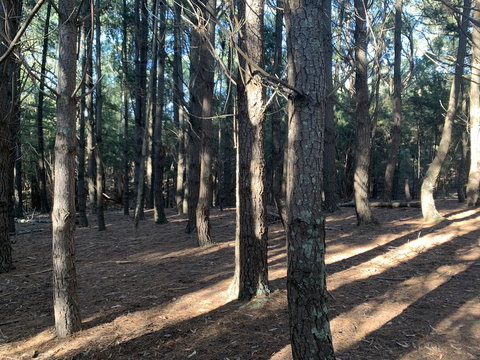 Kangaroo Manor - Stayed 4