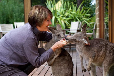 Kangaroo Manor - Stayed 20