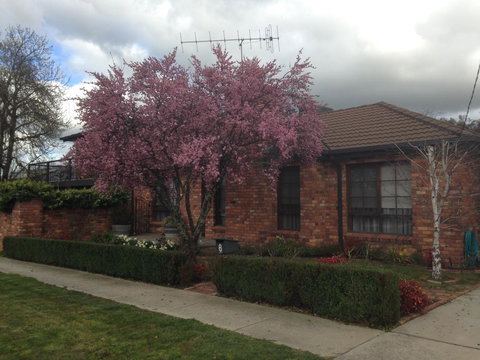 Bricks And Roses - Stayed 1