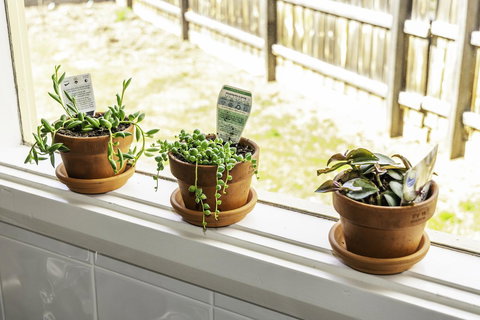 Bacchus Centro - Stayed 10