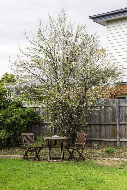 Bacchus Centro - Stayed 9