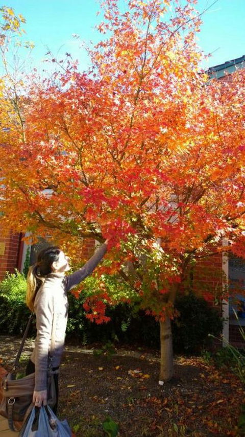 Australian Home Away @ Box Hill 2 Bedroom - Stayed 13