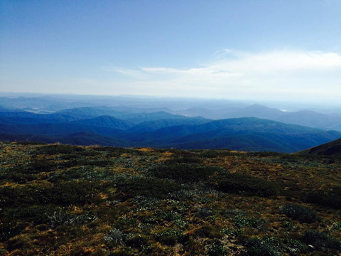 Allamar Motel - Stayed 20