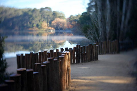 Minni Gums - Stayed 4