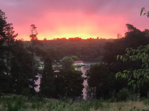 Minni Gums - Stayed 2