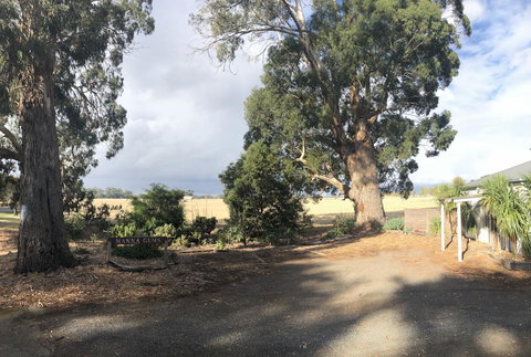 Minni Gums - Stayed 18